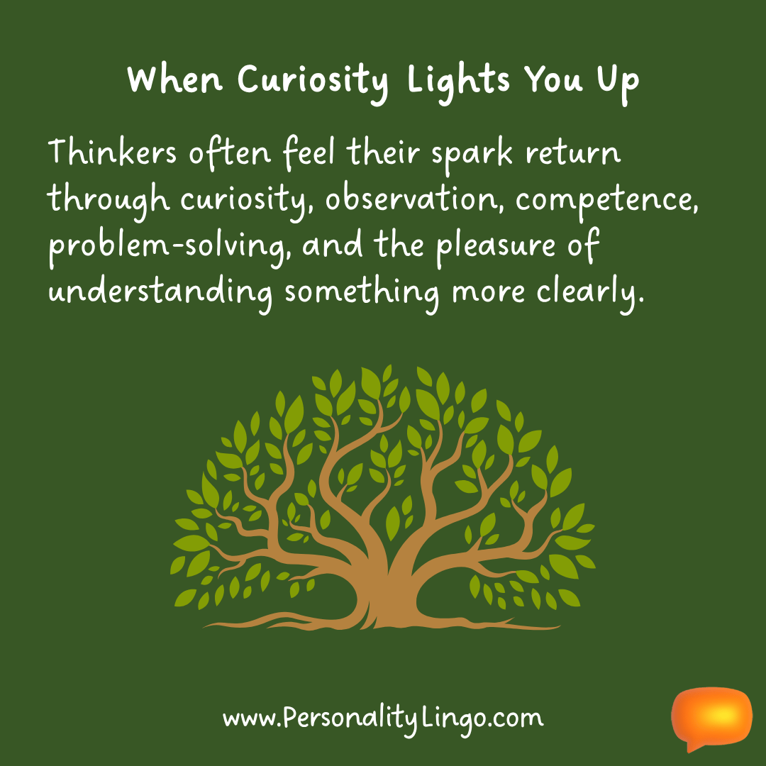 When Curiosity Lights You Up